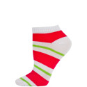 Chatties Women's Bright Stripe Low Cut Socks - 1 Pair - White/Pink/Green