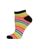 Chatties Women's Bright Stripe Jelly Low Cut Socks - 1 Pair - Black with Mini Rainbow Stripes